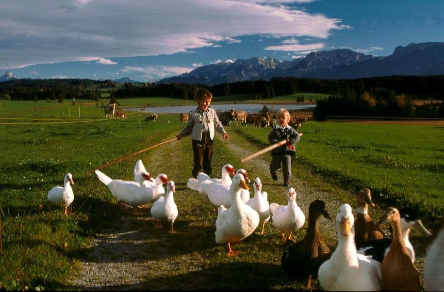 Allgäuer Lebensgefühl