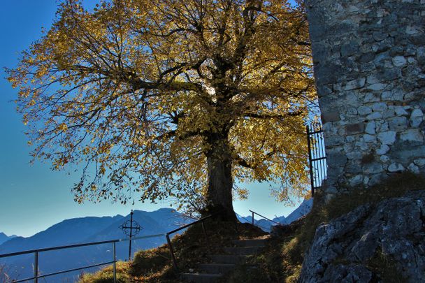 Burgruine Falkenstein im Herbst