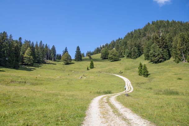 Wanderweg am Kienberg