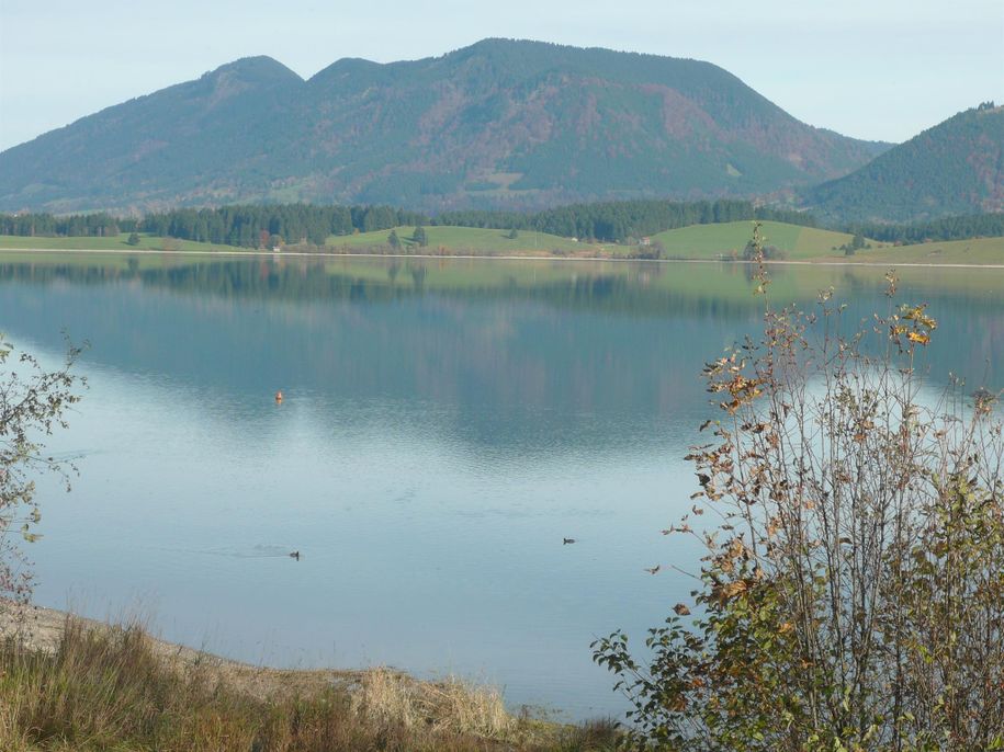 Forggensee und Trauchberg