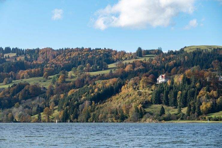 Vortrag Allgäuer Bergwalder im Klimawandel_Anna Mareike Rathjen_klein