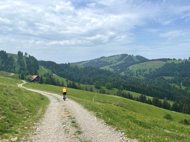 Forstweg Richtung Mittelstieg Alpe