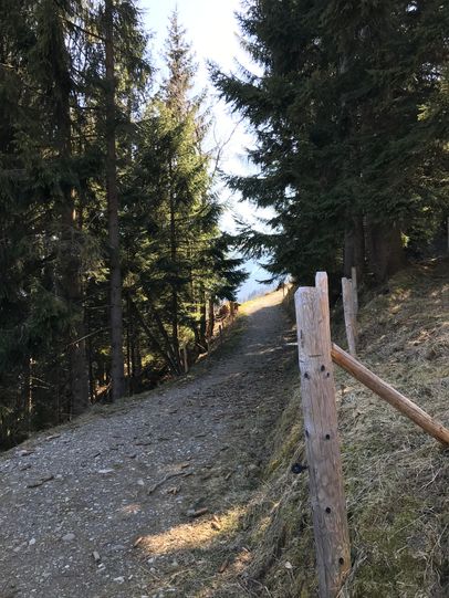 Ein gut präparierter Weg führt zum Sonderdorfer Kreuz