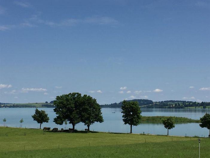 Alpenglück de Luxe liegt direkt am Forggensee