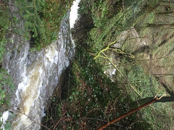 Wasserverlauf im Osterwald