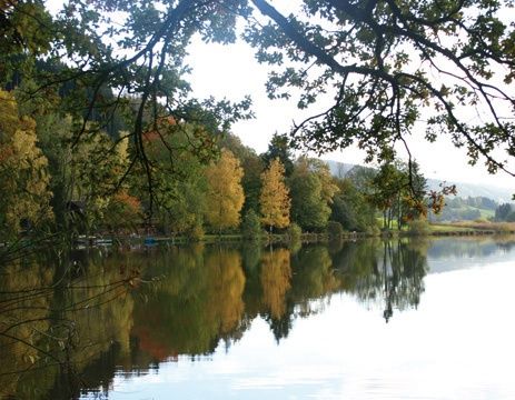 Das bunte Herbstlaub spiegelt sich im Wasser des Hengelesweiher.