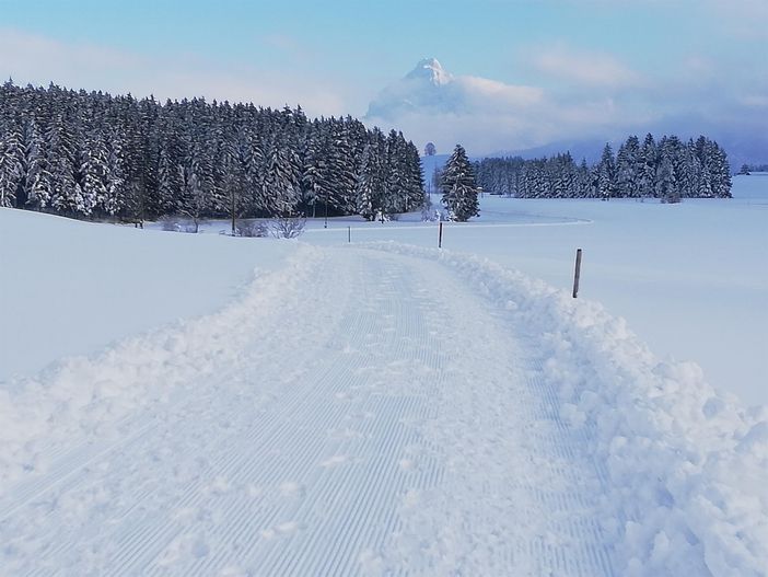 Spaziergang am späten Nachmittag