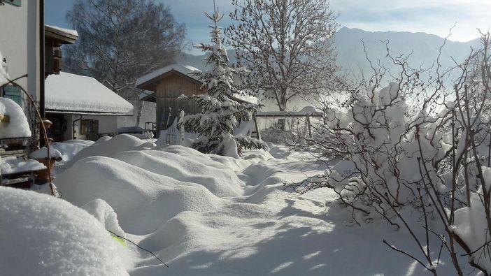 Garten im Winter