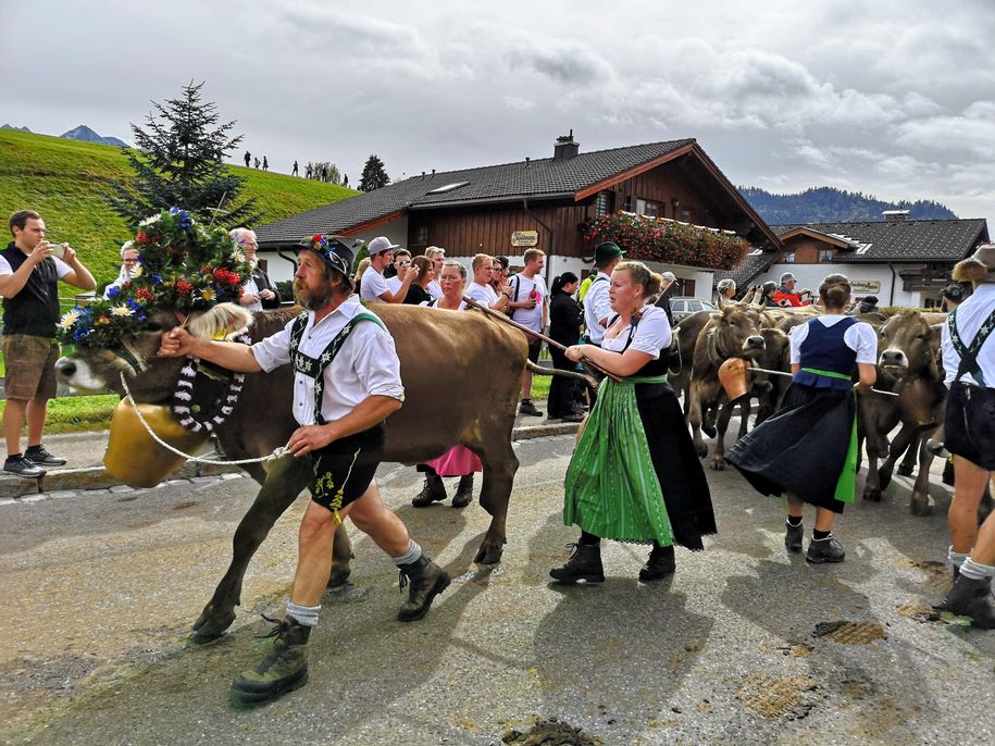 Viehscheid Obermasidelstein