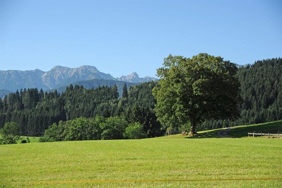 Aussicht von Terasse