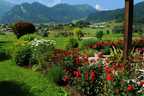 Garten und Bergblick