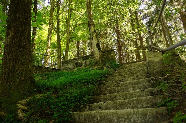 Allgäuer Logenplatzroute - Etappe 8: Lechbruck am See-Roßhaupten