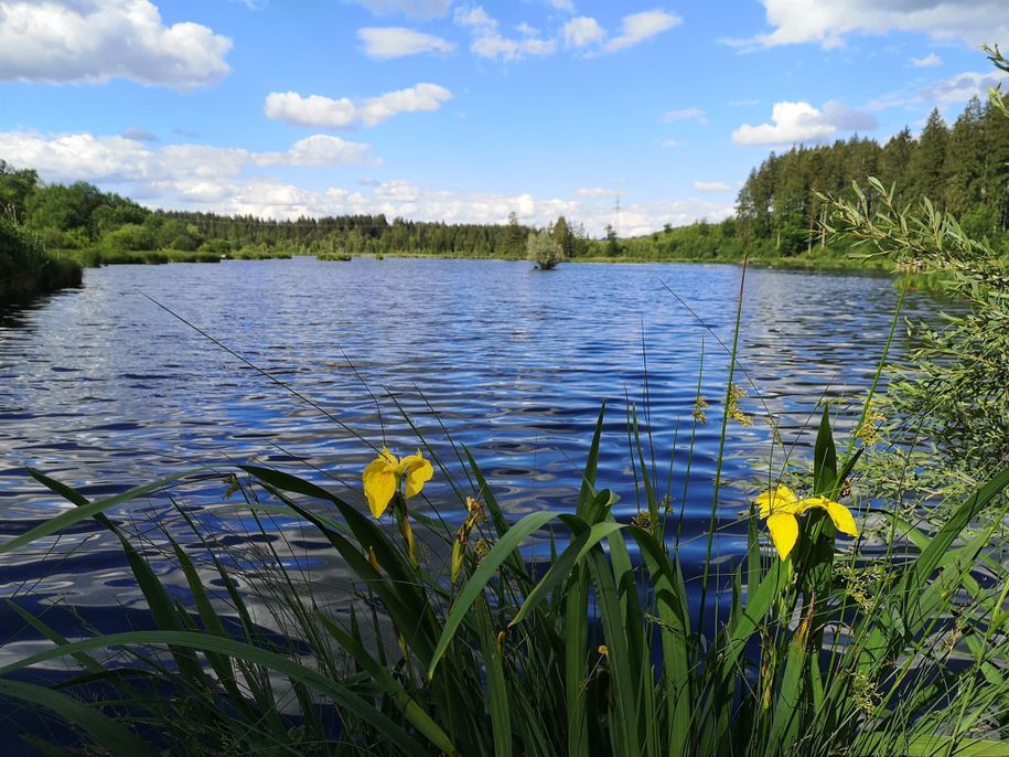 Herbisweiher