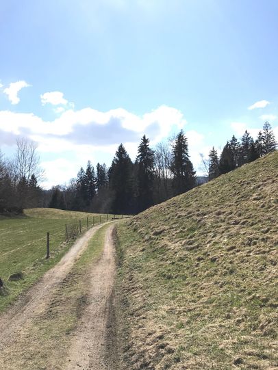 Feldweg zurück nach Bolsterlang