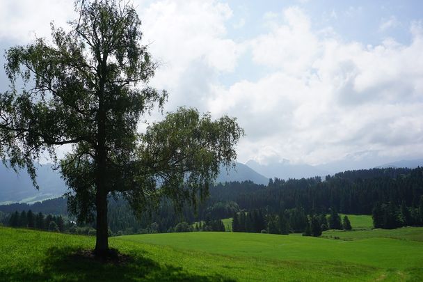 Allgäuer Königsalpenroute - Etappe 6: Lechbruck am See-Halblech