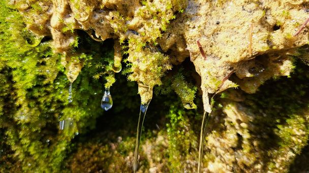 Das Wasser schafft auf diesem Rundwanderweg seine eigene (Miniatur)Landschaft