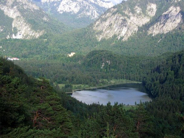 Oberhalb des Schwansees auf dem Alpenrosenweg