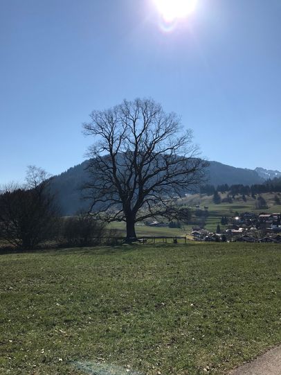 Spöckwiese Obermaiselstein