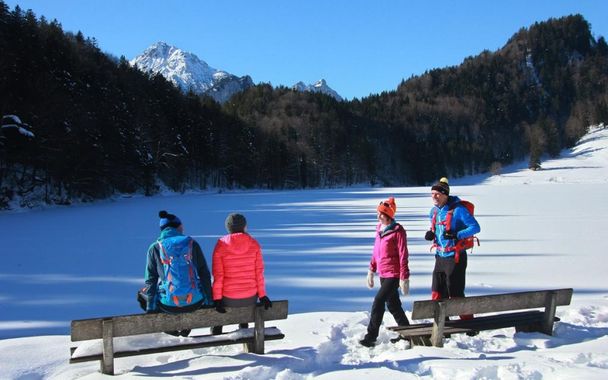 Winter am Alatsee