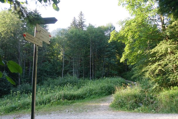 Wanderweg zur Reichenbachklamm