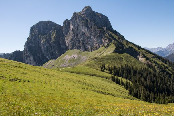 Der Aggenstein im Sommer