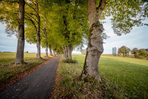 Schlosspark Wandern_Logenplatzroute_Kurfürstenalle bei Marktoberdorf_Peter von Felbert_TVOAL