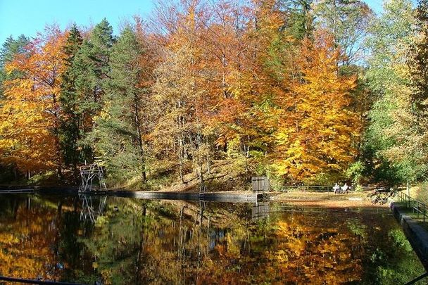 Mittersee