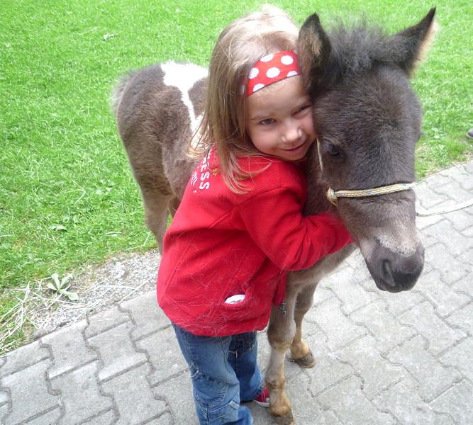 Soooo lieb sind Ponyfohlen