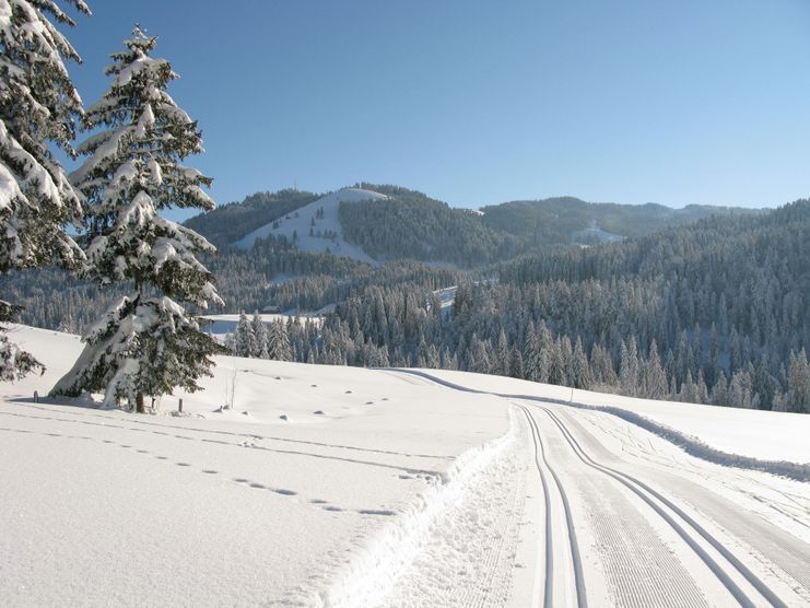 Langlaufen in den Allgäuer Hörnerdörfern