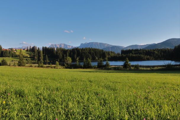 Der Kögelweiher mit Bergpanorama