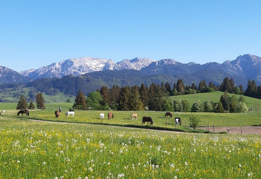 Bei uns im Frühling