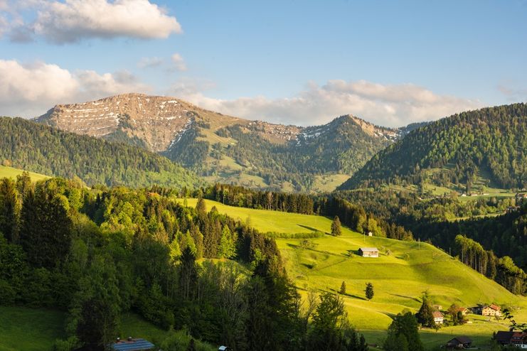 Blick auf den Hochgrat bei Oberstaufen