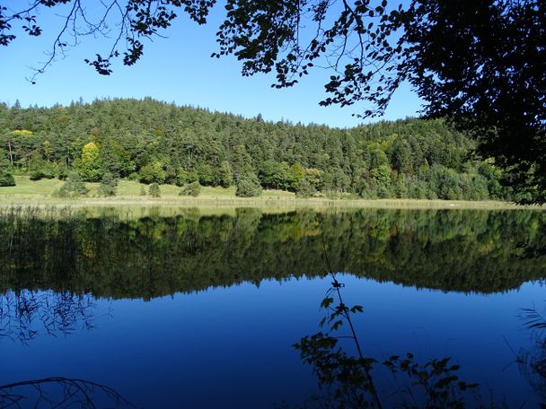 Obersee