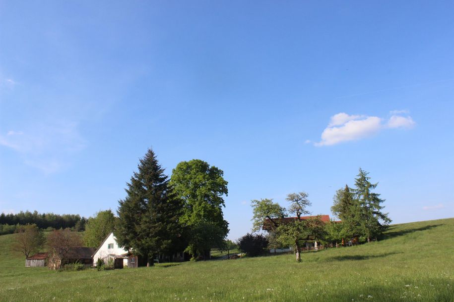 Der Lindenhof aus SüdWest