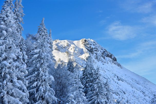 Der Breitenberg