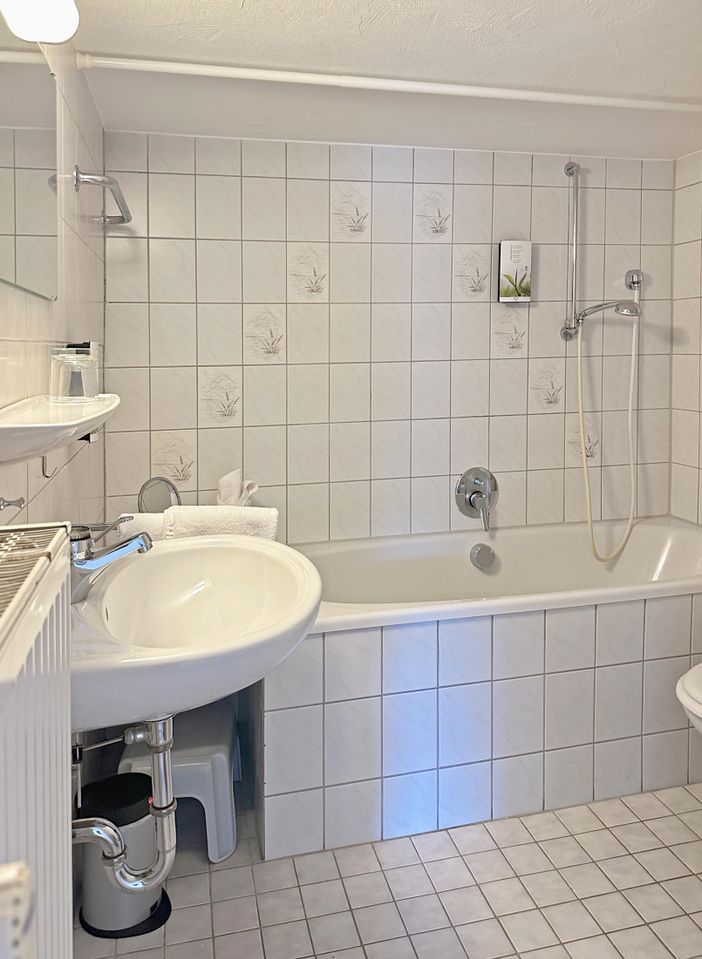 Badezimmer mit Wanne Alpseepanorama