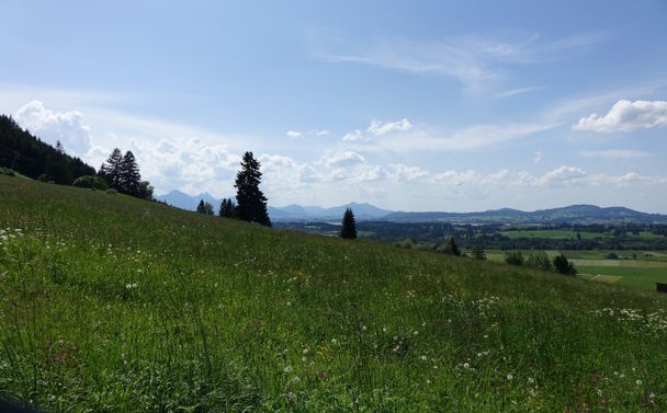 Auf dem Weg zum Buchenberg