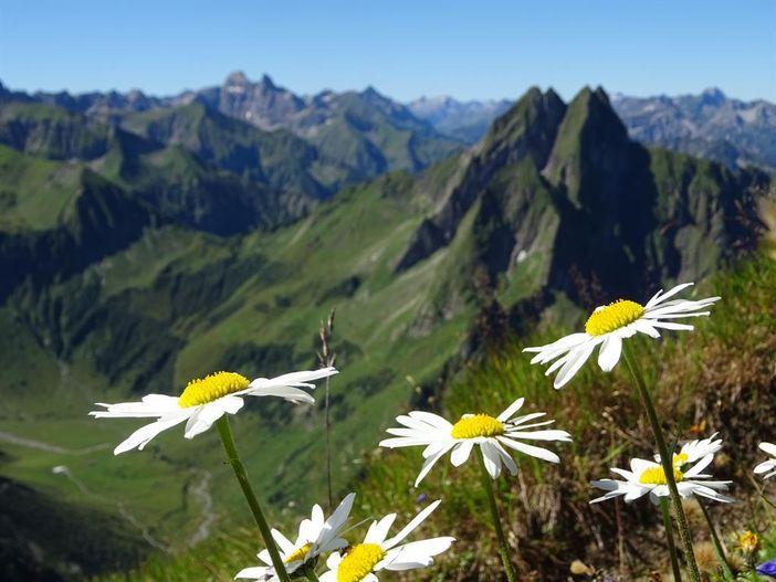 Blick zur Höfats