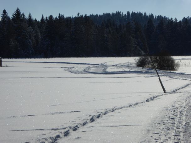 Sonne, Loipe, Argenbühl