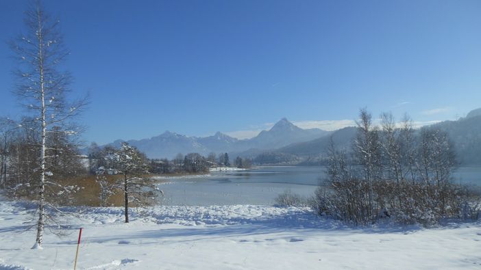 Weisensee im Schnee 20515