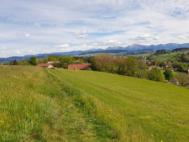 Blick auf die Nagelfluhkette