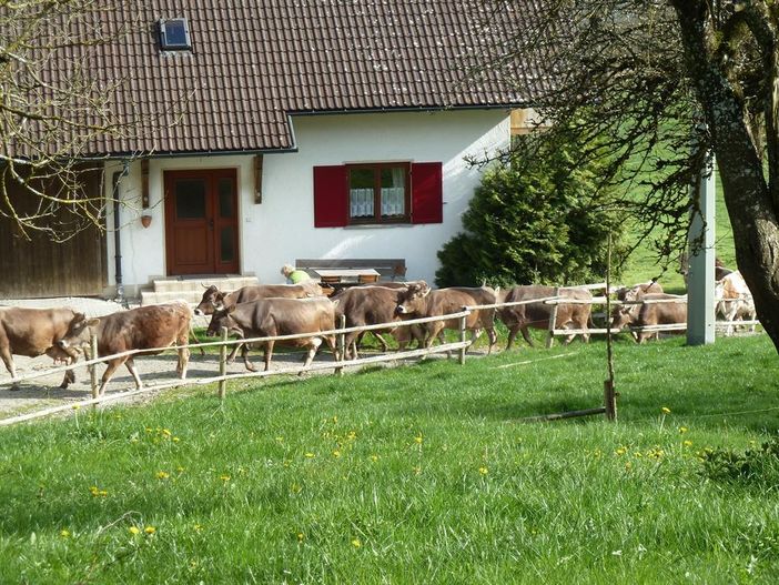 Ferienhaus Ansicht Nord