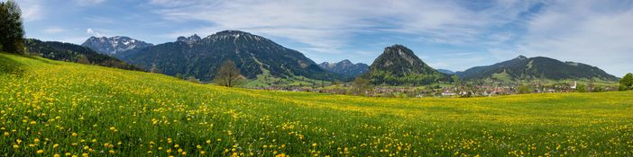 Panorama oberhalb unserer Ferienwohnung Bergnah