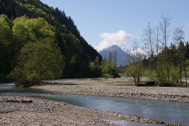 Auwaldsee Nordic-Walking Runde bei Fischen