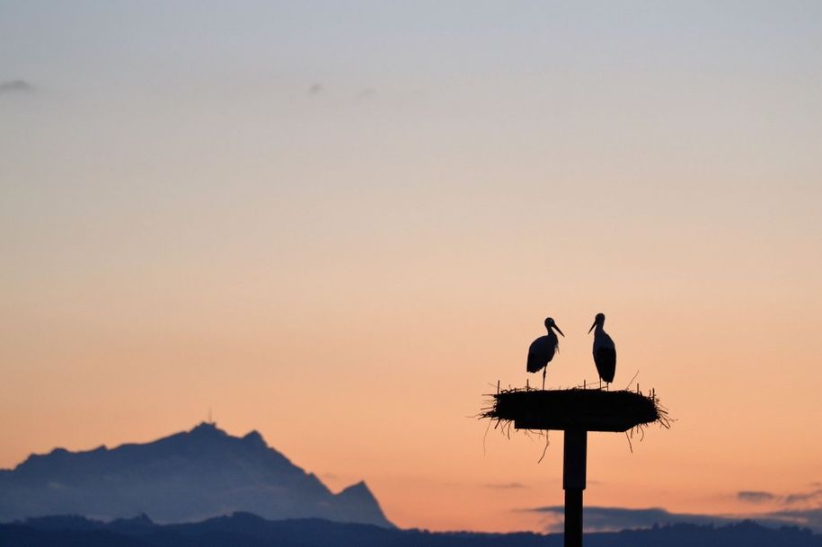 Abendstimmung Lissi und Ludwig