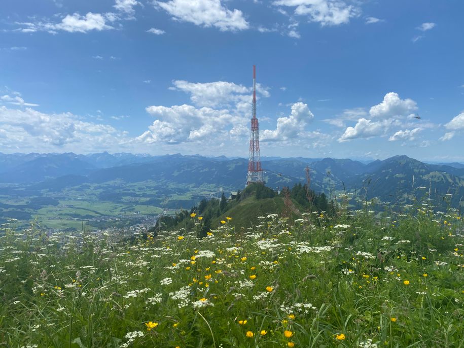 Grünten 1.738 m, Wanderung ab Fewo