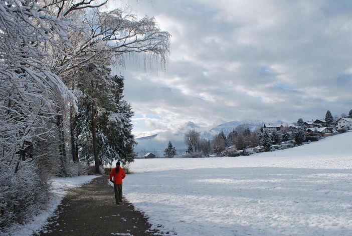 Spazierweg am See