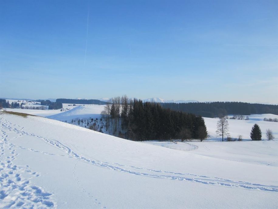 Eisenharz im Schnee