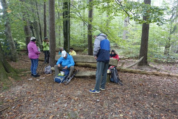 Jakobusweg - West, Pilgerwanderung von Boos - Memmingen