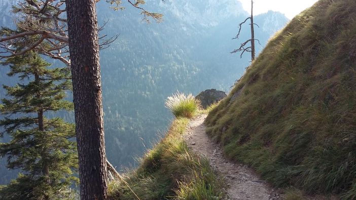 Wanderweg am Tegelberg